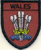 Embroidered Badges - Wales (Feathers)